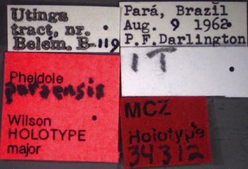 Media type: image;   Entomology 34312 Aspect: labels